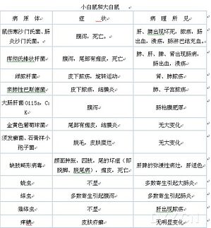 丁香实验推荐阅读