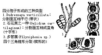丁香实验推荐阅读