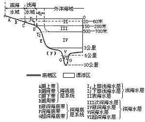 丁香实验推荐阅读