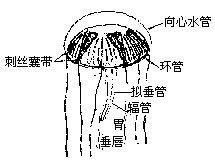 丁香实验推荐阅读