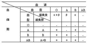 丁香实验推荐阅读