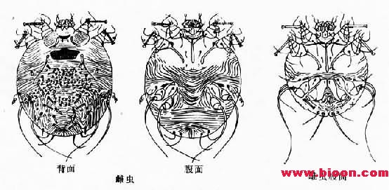 丁香实验推荐阅读