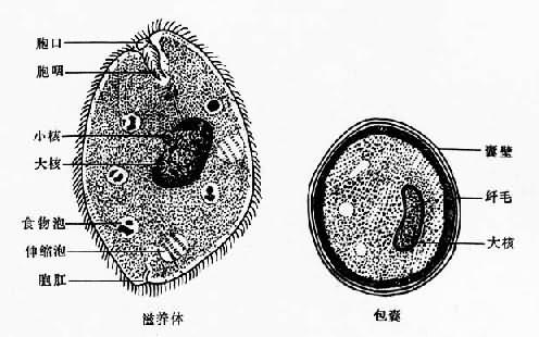 丁香实验推荐阅读