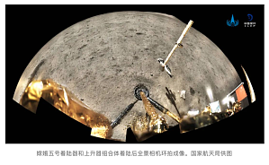 丁香实验推荐阅读