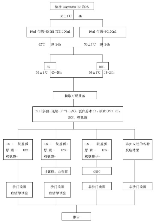 丁香实验推荐阅读