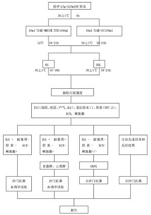 丁香实验推荐阅读