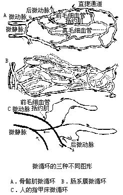 丁香实验推荐阅读