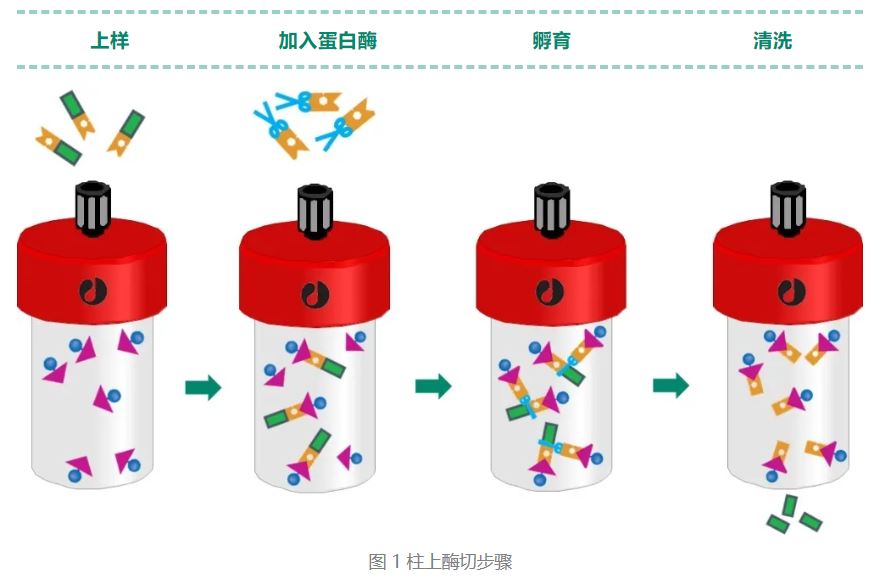 丁香实验推荐阅读