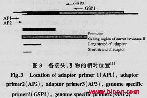 丁香实验推荐阅读