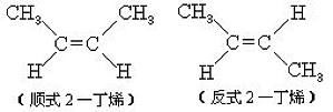 丁香实验推荐阅读