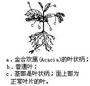丁香实验推荐阅读