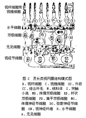 丁香实验推荐阅读