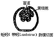 丁香实验推荐阅读