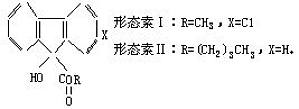 丁香实验推荐阅读