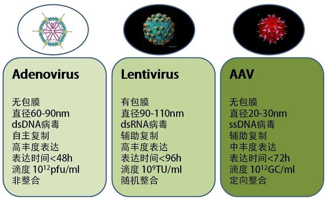 丁香实验推荐阅读