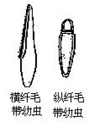 丁香实验推荐阅读