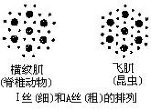丁香实验推荐阅读