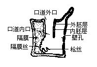 丁香实验推荐阅读