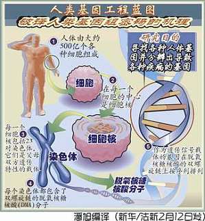 丁香实验推荐阅读