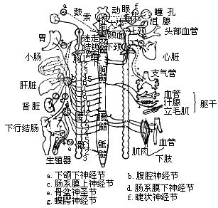 丁香实验推荐阅读