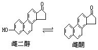 丁香实验推荐阅读