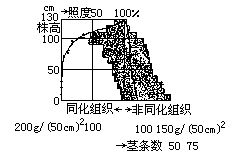 丁香实验推荐阅读