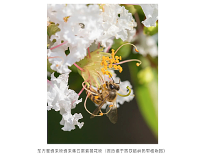 丁香实验推荐阅读