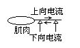 丁香实验推荐阅读