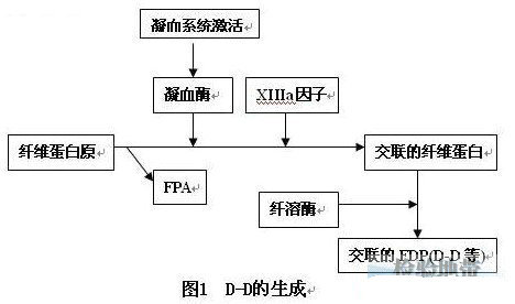 丁香实验推荐阅读