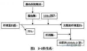 丁香实验推荐阅读