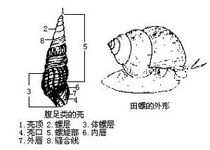 丁香实验推荐阅读