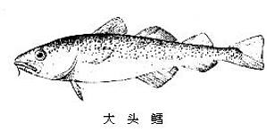 丁香实验推荐阅读