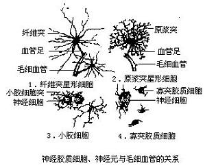 丁香实验推荐阅读