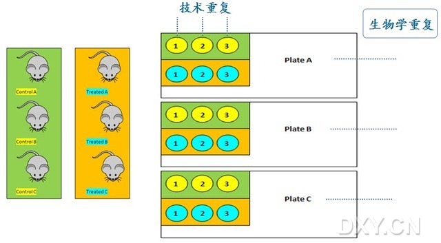 丁香实验推荐阅读