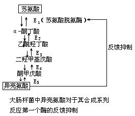 丁香实验推荐阅读