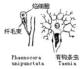 丁香实验推荐阅读