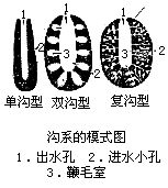 丁香实验推荐阅读