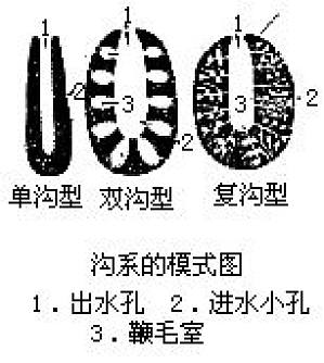 丁香实验推荐阅读