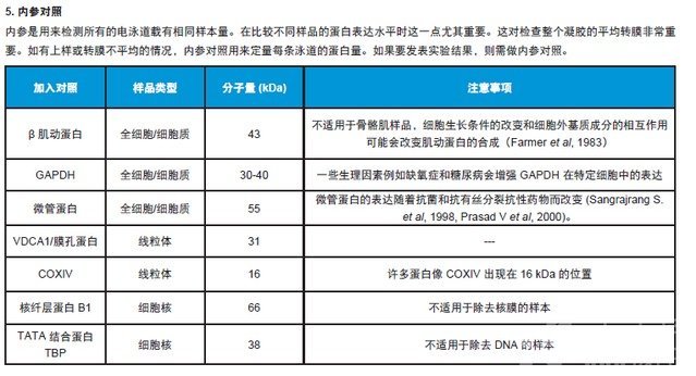 丁香实验推荐阅读