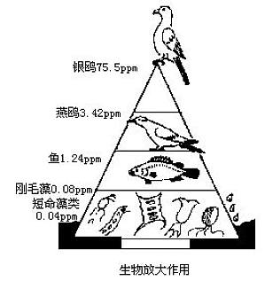 丁香实验推荐阅读