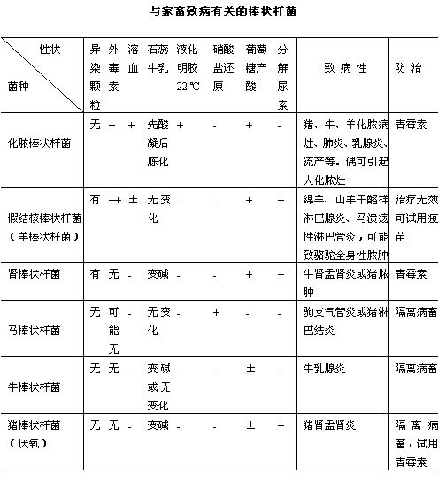 丁香实验推荐阅读