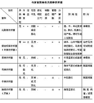 丁香实验推荐阅读
