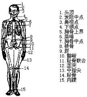 丁香实验推荐阅读