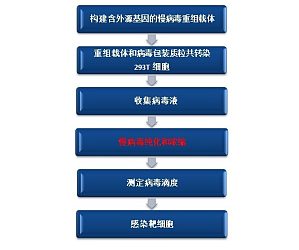 丁香实验推荐阅读