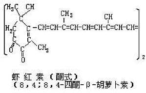 丁香实验推荐阅读