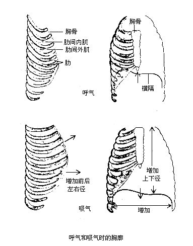 丁香实验推荐阅读