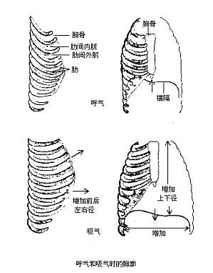 丁香实验推荐阅读