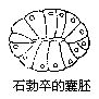 丁香实验推荐阅读
