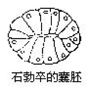 丁香实验推荐阅读