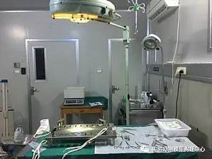 丁香实验推荐阅读